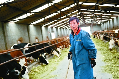 ���I(l��ng)�������̡����I(l��ng)Ⱥ����Ɍ��� �������^�üt�t���