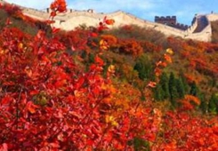 �����F�� ����w�� ��(gu��)�c��(ji��)�͵������ӑc-�L(zh��ng)���F��