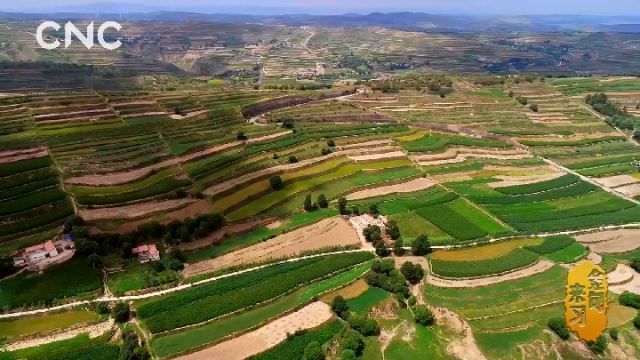 �������� ����ƽ�ɕ���䡡������ú�ɽ