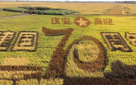 ���r���|�����d�����������������ء����r�I�F�������O���I����