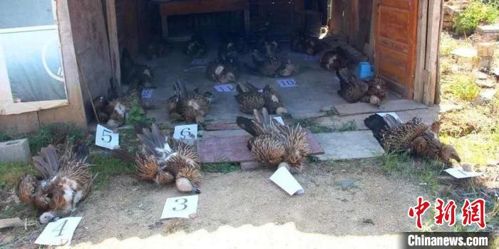 ����������g���ς��kҰ����(d��ng)�ﰸ��2909��