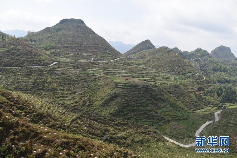 ���Q��Q��Óؚ���ԡ��D�Ļ��ӣ���1���������Ų��a�RÓؚ���ԡ��̰塱�����F����¡�h��ؚһ������Ҋ