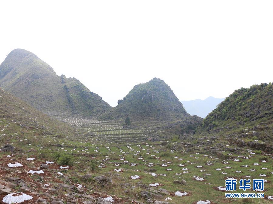 ���Q��Q��Óؚ���ԡ��D�Ļ��ӣ���4���������Ų��a�RÓؚ���ԡ��̰塱�����F����¡�h��ؚһ������Ҋ