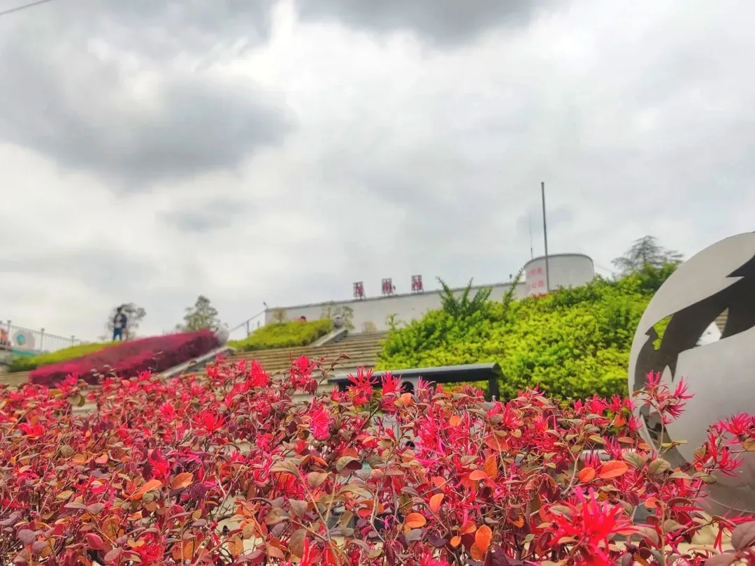 ̽���F·���������̡������l(f��)�F(xi��n)�����F·�����ճ��l(f��)��