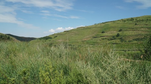 ���ĺ�ԭ���ƽ��������յ����B���ܴa��