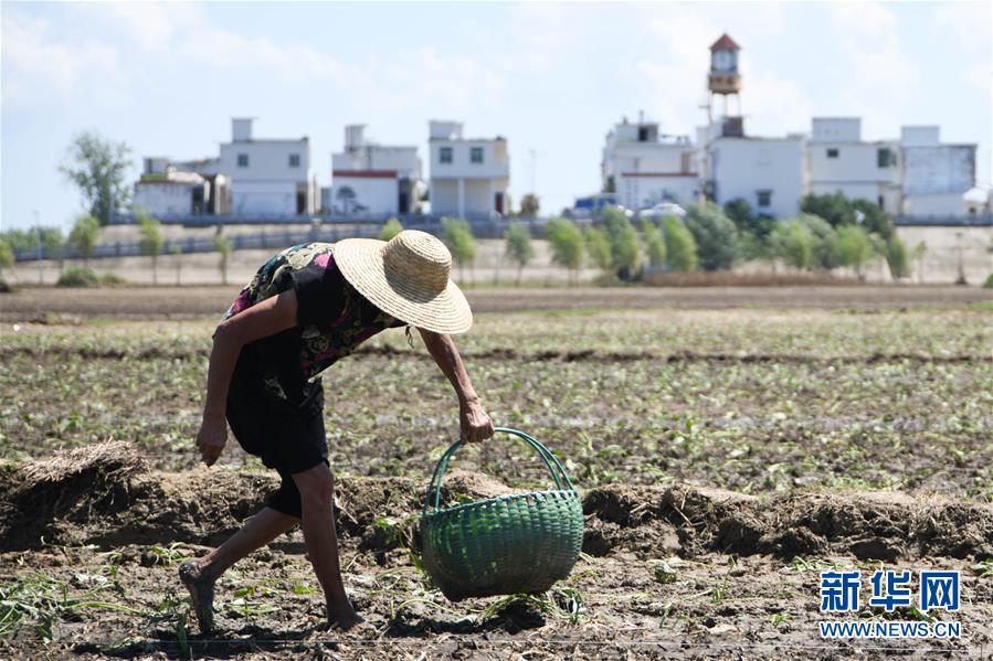 ������(x��)��ƽ�r(sh��)���Ї���ɫ������x˼��ָ���¡����r(sh��)����������ƪ�¡���(x��)��ƽ����ӛ�P(gu��n)���¡��D�Ļ��ӣ���1��һ�О������񡪡�����ȫ����Ѵ�Ȟ�(z��i)ȡ���A�����ش����֮�r(sh��)