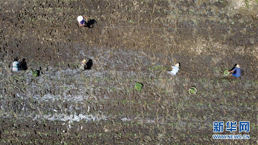 ������(x��)��ƽ�r(sh��)���Ї���ɫ������x˼��ָ���¡����r(sh��)����������ƪ�¡���(x��)��ƽ����ӛ�P(gu��n)���¡��D�Ļ��ӣ���8��һ�О������񡪡�����ȫ����Ѵ�Ȟ�(z��i)ȡ���A�����ش����֮�r(sh��)