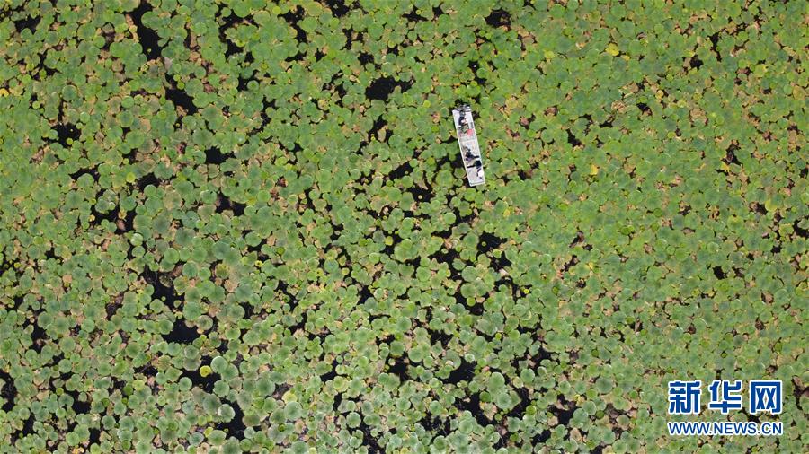 ������(x��)��ƽ�r(sh��)���Ї���ɫ������x˼��ָ���¡����r(sh��)����������ƪ�¡���(x��)��ƽ����ӛ�P(gu��n)���¡��D�Ļ��ӣ���12��һ�О������񡪡�����ȫ����Ѵ�Ȟ�(z��i)ȡ���A�����ش����֮�r(sh��)