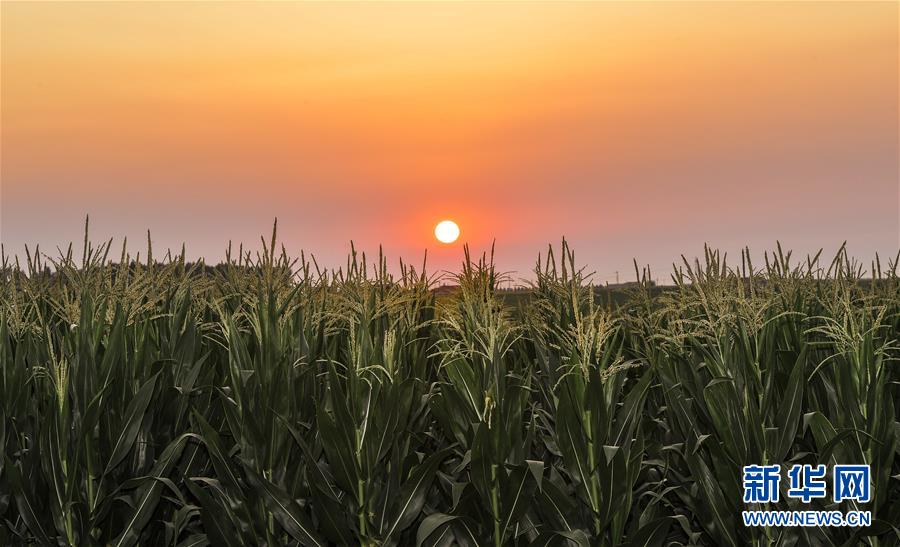 �����Aȫý�^�l���D�Ļ��ӣ���2����F(xi��n)���r(n��ng)�I(y��)̽��·�������Լ���������Ұ���