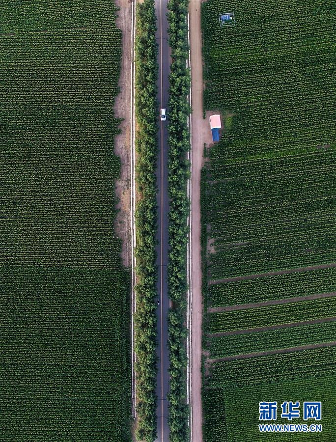 �����Aȫý�^�l���D�Ļ��ӣ���3����F(xi��n)���r(n��ng)�I(y��)̽��·�������Լ���������Ұ���