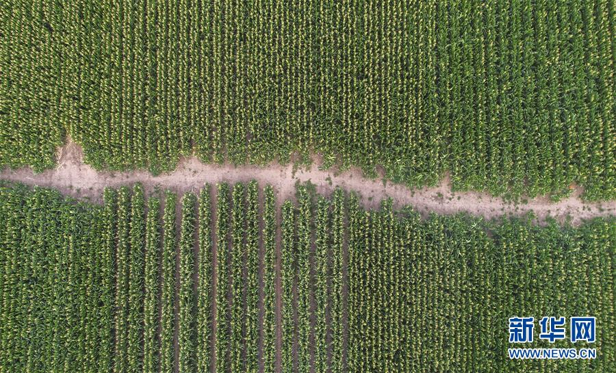 �����Aȫý�^�l���D�Ļ��ӣ���4����F(xi��n)���r(n��ng)�I(y��)̽��·�������Լ���������Ұ���