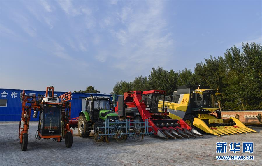 �����Aȫý�^�l���D�Ļ��ӣ���5����F(xi��n)���r(n��ng)�I(y��)̽��·�������Լ���������Ұ���