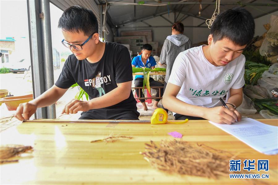 �����Aȫý�^�l���D�Ļ��ӣ���8����F(xi��n)���r(n��ng)�I(y��)̽��·�������Լ���������Ұ���