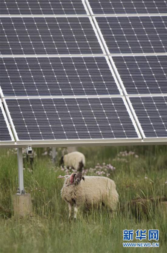 �����Aȫý�^�l�������҂���С������Q��Q��Óؚ���ԡ��D�Ļ��ӣ���5����ԭ�Ͼ`�ŵĹ�â���������ຣ�������ؚ�������Ĺ���