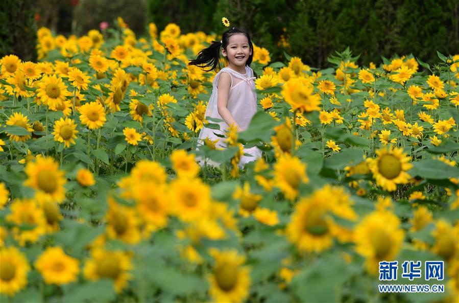 �����Aȫý�^�l���D�Ļ��ӣ���3�����p����ϲ��� һ�Ӽ҇��顪��ȫ�����ؚg�ȇ��c����ѹ�����