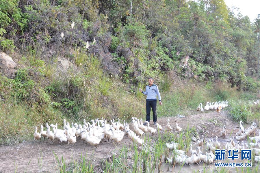 ���Q��Q��Óؚ���ԡ��D�Ļ��ӣ���2���}�������ġ��_ˮͨÓؚӛ