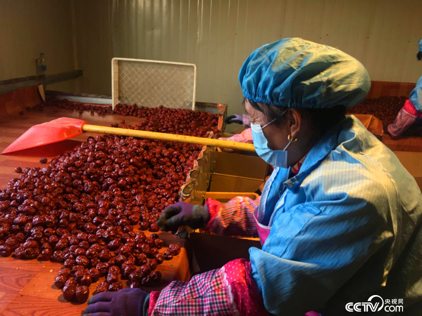 �ӹ�܇�g��(n��i)�������ڷ֒��t��