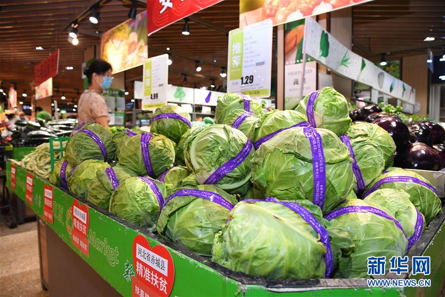 �����Aȫý�^�l������ȫ�������ڻ��ӡ��D�Ļ��ӣ���10���ߣ�ȥ���򼽿����fͬ�lչ����