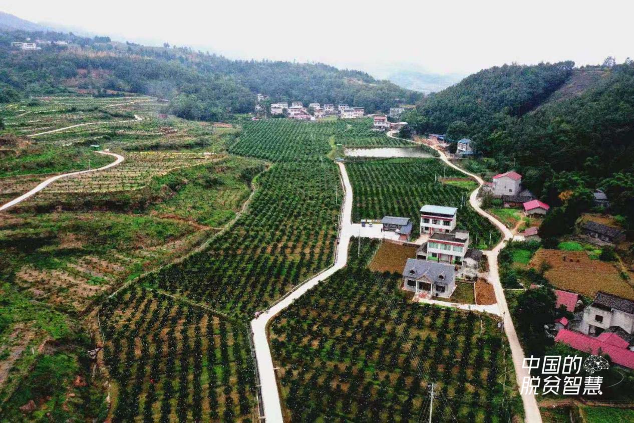  ���Ӵ庽�ģ��Ĵ����W���D��