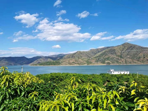 �Aƺ���ȵ�â���Nֲ�@�^���������f�Wӛ�� ���� �z