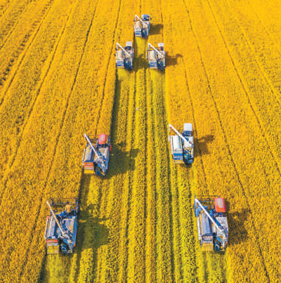 2.3%���˲���������L���������·�λ2020��ô����