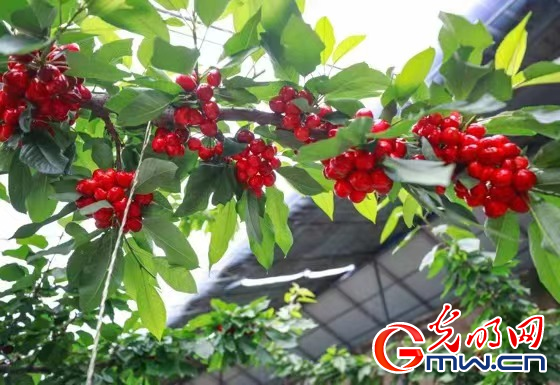 �����@���x������ʹ�������W�jý�w�����υ^�С��Ӱ����L��ʢ��F���r�Iʾ���@����������¸�·