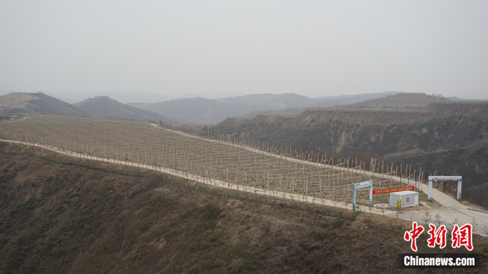 ���ʡ�Ӱ��а����^(q��)�ߘ��(zh��n)�Ϝϴ����B(t��i)ʾ���@�� <a target='_blank'  ><p  align=