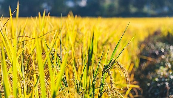 �������ٿ��Ї�(gu��)حÿһ�������ǽ^����(hu��)��