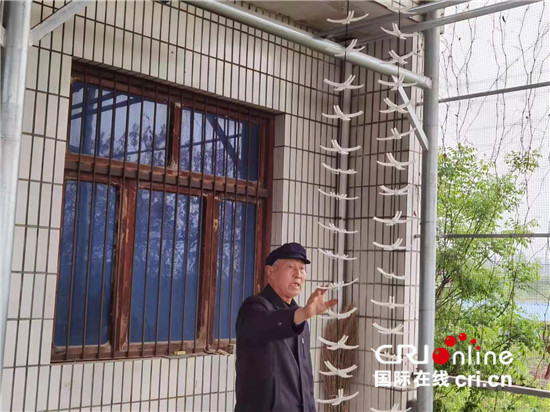 ���Ї��мs�����ʡ��ƽ�h���ɡ������I�l����ؔ  ���O�����l��_fororder_2