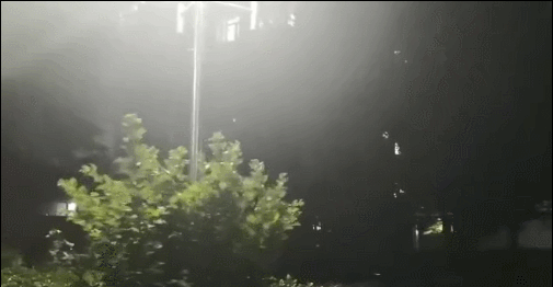 11��������ƽ�L(f��ng)���꼱��