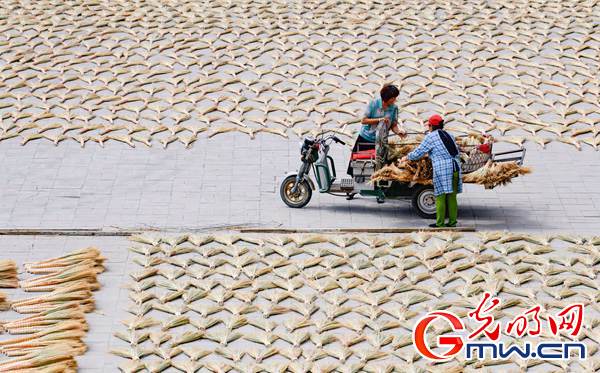 ������׃��ˇ�gƷ �a�I���d��Óؚ����ؚ