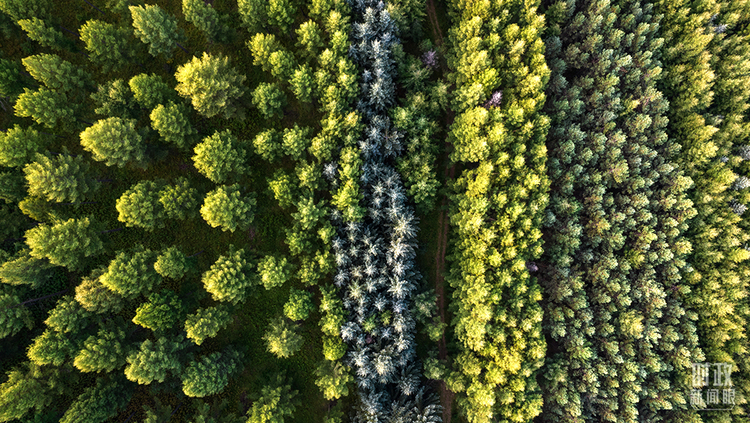 �r(sh��)������ح�����M�P(gu��n)�I�~����(x��)��ƽ����ӛ�е�֮��