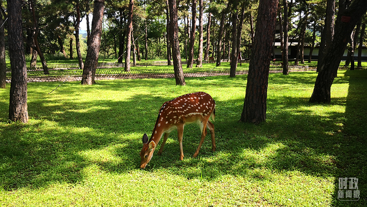 �r(sh��)������ح�����M�P(gu��n)�I�~����(x��)��ƽ����ӛ�е�֮��