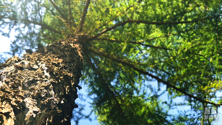 �r������ح����ƽ����е£��@�ľ�Ԓ��������