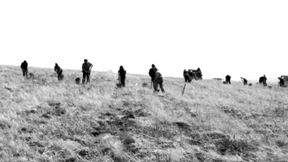 �����΄�(chu��ng)�I(y��)�����˹����֬F(xi��n)�������Y�ψD��