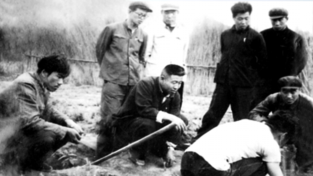 ���к�������������һ���о����ּ��g(sh��)���}�����Y�ψD��