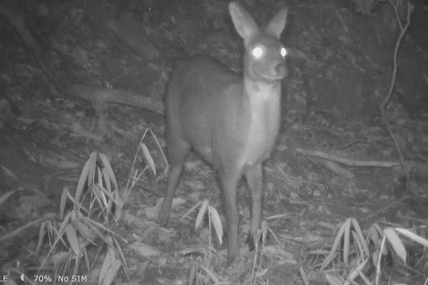 2021��8��25���Ĕz��������ĸ��Ӱ�񡣲����h��ý�w���Ĺ��D