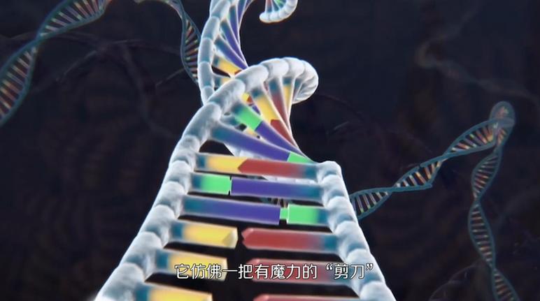 ������۵ć�֮����10����ҕ�lح����݋�ľ��ʡ�������