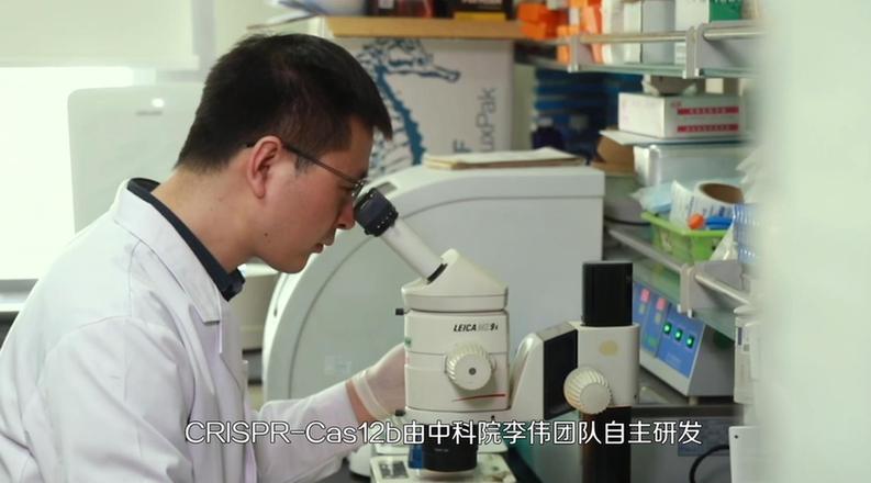 ������۵ć�֮����10����ҕ�lح����݋�ľ��ʡ�������