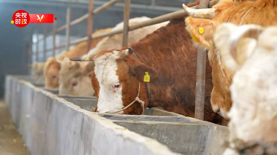  ���δ��Bֳ�I