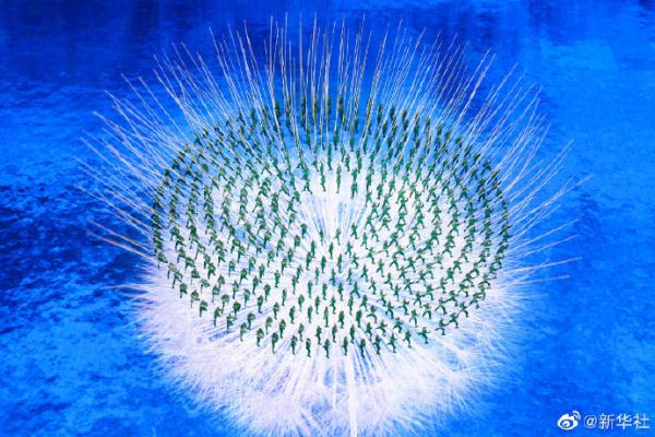 ȫ����ҕ�ʄ�(chu��ng)�v���¸ߣ����H�Wί��Ԕ�ⱱ�����W��ȫ���P(gu��n)ע��