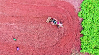 �Ї���݆ �з�(w��n)���h(yu��n)������(sh��)�f��ʮ���塱�_�ֵ�ϲ�˳ɿ�