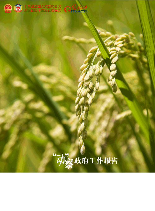 �����ӡ�������������桿2022���@ЩĿ�˴��ˊ^�M��