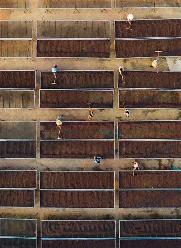 �@����������������ɽ�l(xi��ng)���d�����