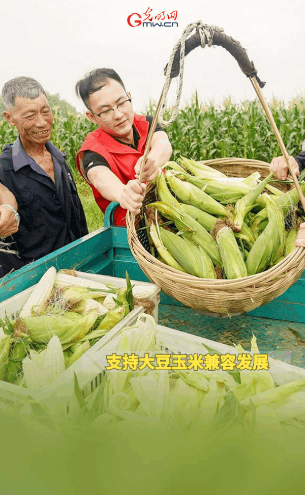 ���ӑB(t��i)���󡿱���ȫ��Zʳ�S�գ��@Щ֧���������_�ˣ�