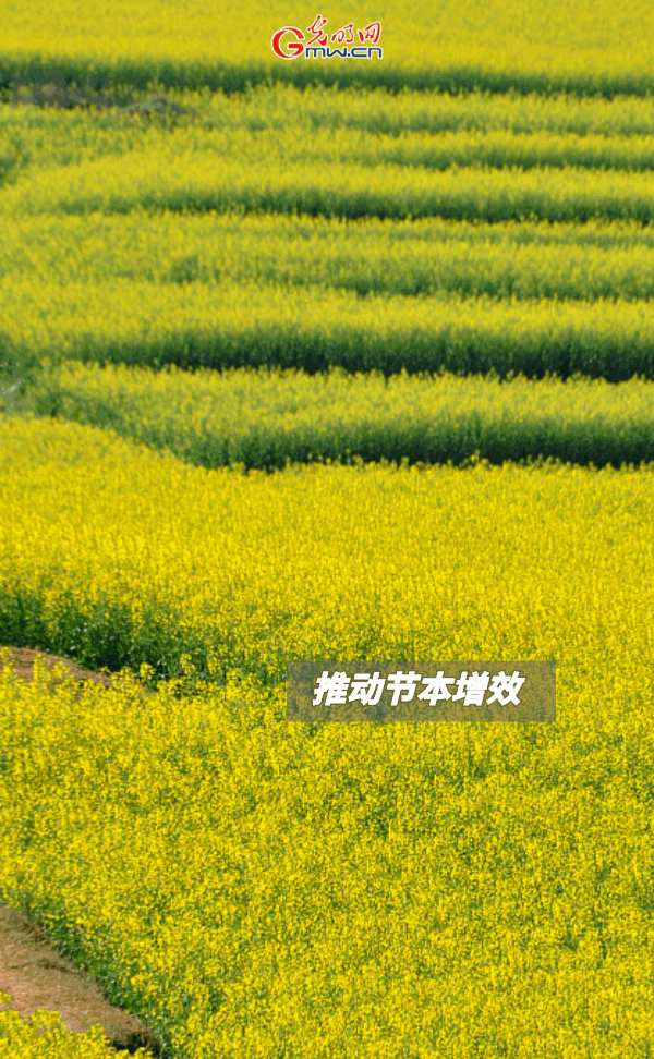 ���ӑB(t��i)���󡿱���ȫ��Zʳ�S�գ��@Щ֧���������_�ˣ�