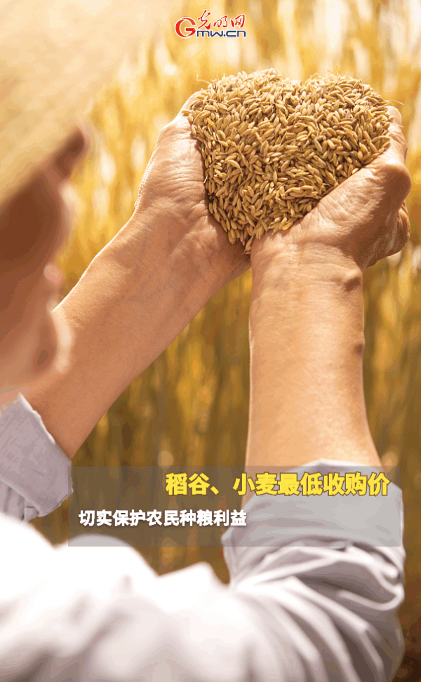 ���ӑB(t��i)���󡿱���ȫ��Zʳ�S�գ��@Щ֧���������_�ˣ�