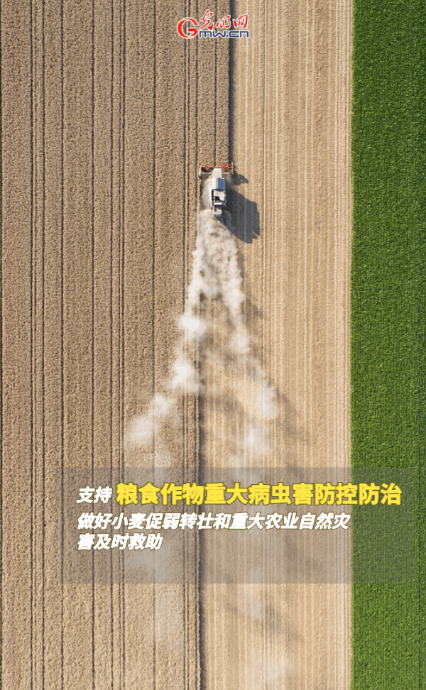 ���ӑB(t��i)���󡿱���ȫ��Zʳ�S�գ��@Щ֧���������_�ˣ�