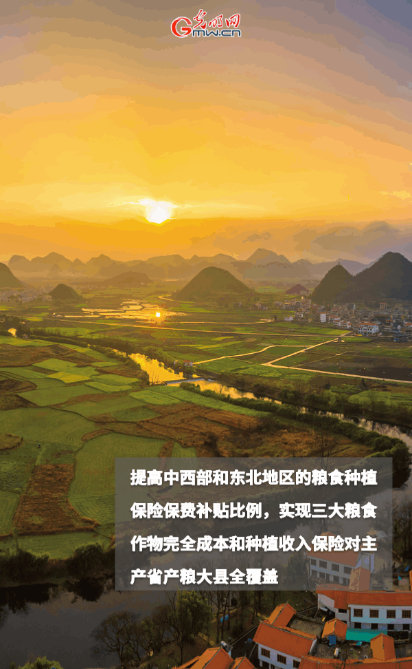 ���ӑB(t��i)���󡿱���ȫ��Zʳ�S�գ��@Щ֧���������_�ˣ�