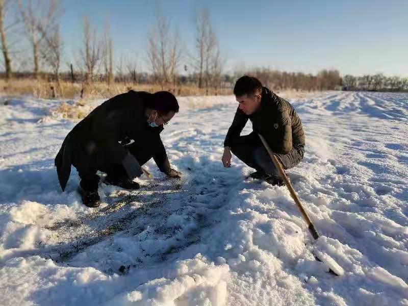 �D��Ŏ��r���󣩿ƌW�о��������ˆT�ڶ�С����鿴����͉�����r��ƈ�R�����z��